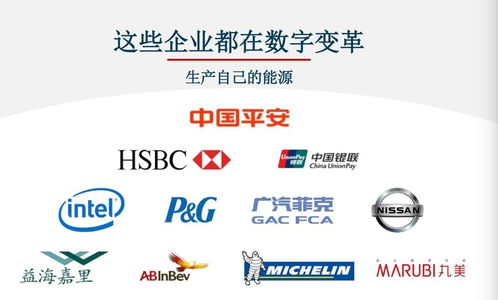 對標Adobe，Nequal如何以數據與技術雙引擎賦能企業智慧商業